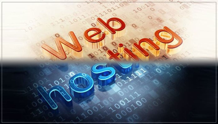 web hosting in delhi